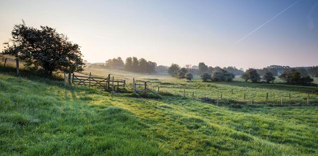 oxfordshire-detail1.jpg